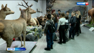 Сразу три «Ночи искусств» пройдут в Хабаровске в рамках Всероссийской акции