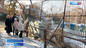 Тёплые «квартиры» и витаминные комплексы: обитателей зоосада «Приамурский» готовят к зимним холодам