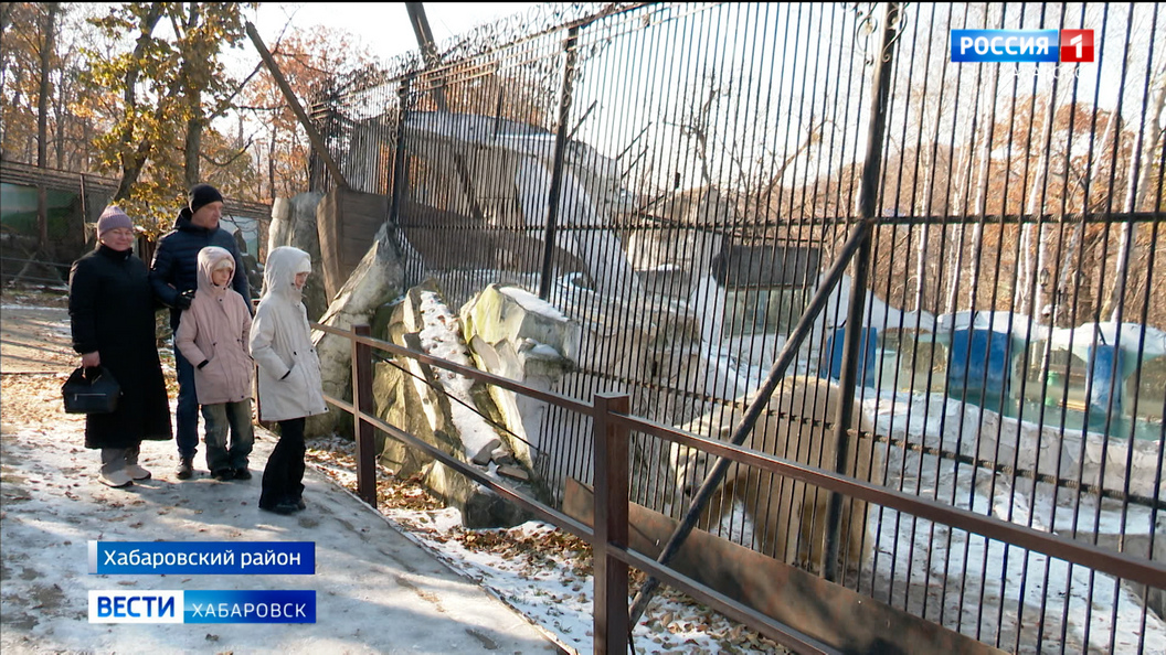 Тёплые «квартиры» и витаминные комплексы: обитателей зоосада «Приамурский» готовят к зимним холодам