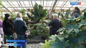 Увидеть райскую птицу и избавиться от хандры: тропический урожай ожидают в оранжерее Города юности