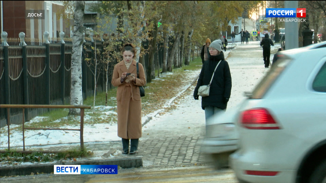 Более миллиарда рублей с начала года похитили мошенники у жителей Хабаровского края