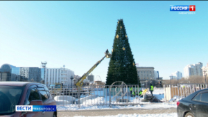 Семь чудес Хабаровского края, ледяные звери и каток: главную площадь края готовят к Новому году