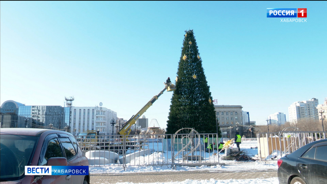 Семь чудес Хабаровского края, ледяные звери и каток: главную площадь края готовят к Новому году