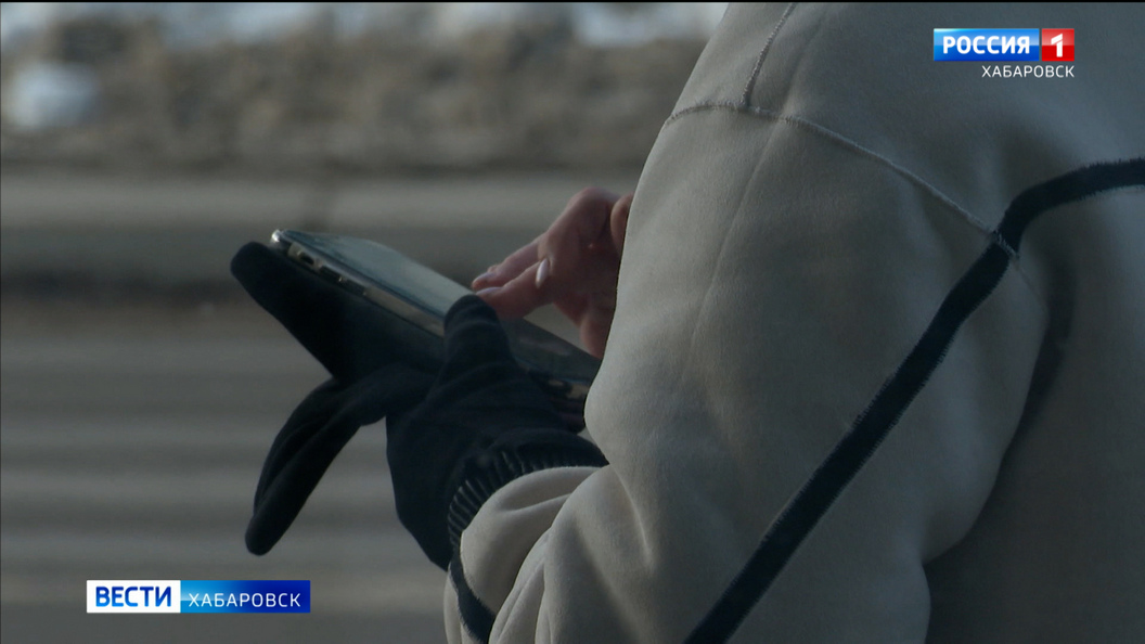 58 уголовных дел за неделю возбуждено в Хабаровском крае по фактам интернет-мошенничества