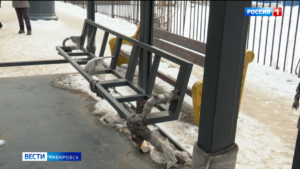 Дмитрий Демешин поручил ускорить благоустройство «гостевого» маршрута Хабаровска