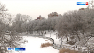 Лёгкий мороз и высокая влажность превратили хабаровские парки и дворы в «зимнюю сказку»