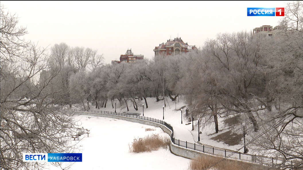 Видеосюжеты