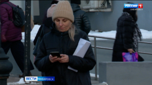 С начала года жертвами интернет-преступниками стали почти три тысячи жителей Хабаровского края