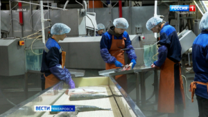 Промысловики региона – вторые в ДФО по объёму вылова рыбы: в крае подвели итоги лососёвой путины