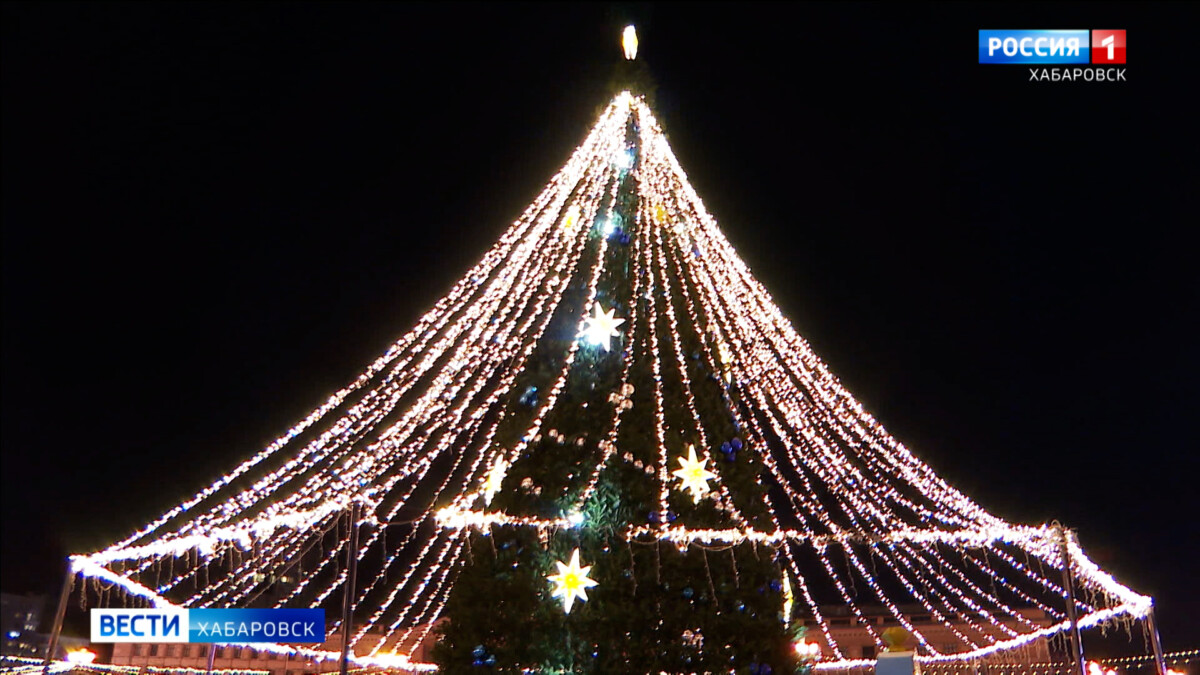 На главной новогодней ёлке Хабаровского края зажгли праздничные огни