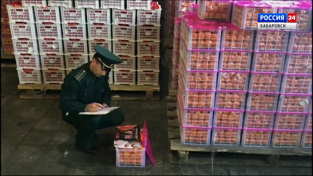 Смотрите в 21:10. Россельхознадзор усилил проверки мандаринов на пунктах пропуска Дальнего Востока