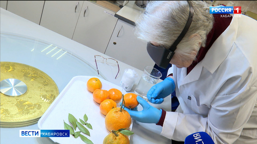 В усиленном режиме работают таможня и лаборатории Россельхознадзора перед новогодними праздниками