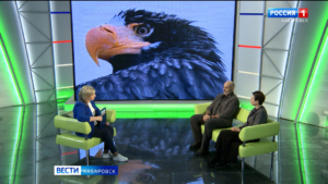 Большое утро. Как реализуются мастер-планы Хабаровска и Комсомольска-на-Амуре