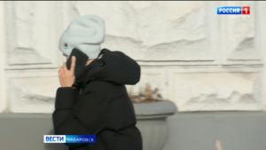 Число жителей края, обманутых в этом году интернет-преступниками, превысило 3 тысячи человек