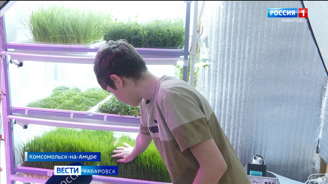 Выращивая растения, вырастить любителя природы: традиции юннатов возрождают в Комсомольске