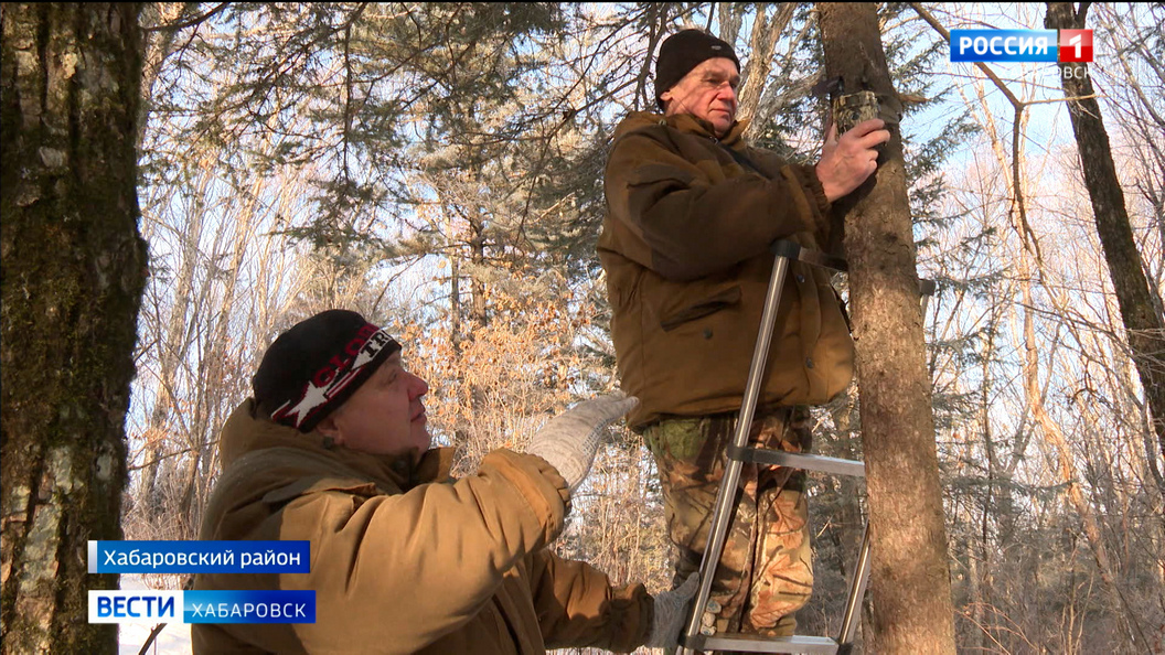 Поймать браконьеров помогут новые фотоловушки: в крае началась операция «Ёлочка»