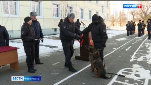 «Генерал-майор» Волчок: пса из отряда ОМОНа «Тигр» проводили на отдых под аплодисменты и оркестр
