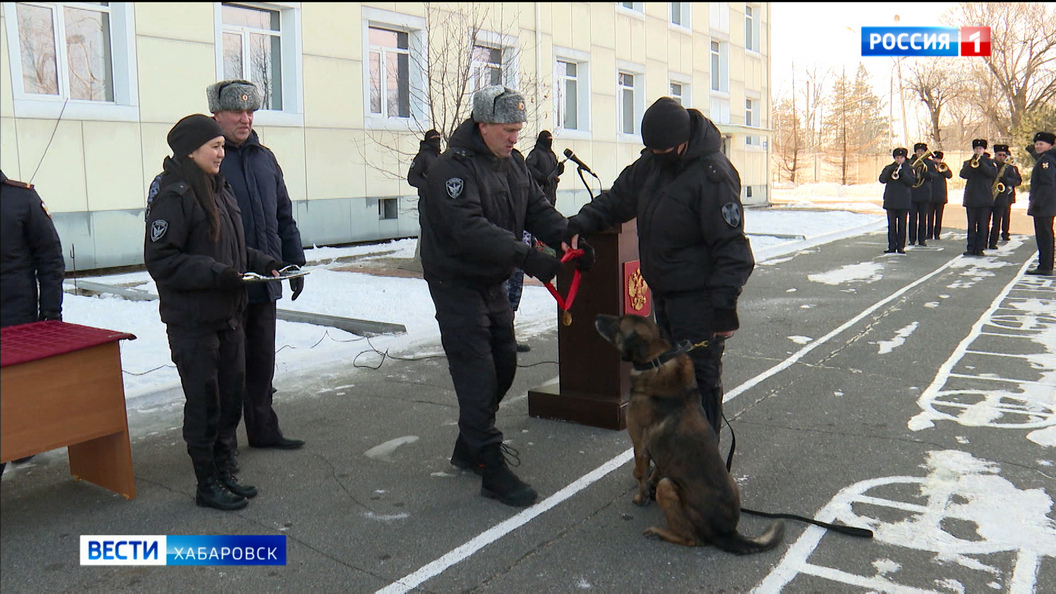 «Генерал-майор» Волчок: пса из отряда ОМОНа «Тигр» проводили на отдых под аплодисменты и оркестр