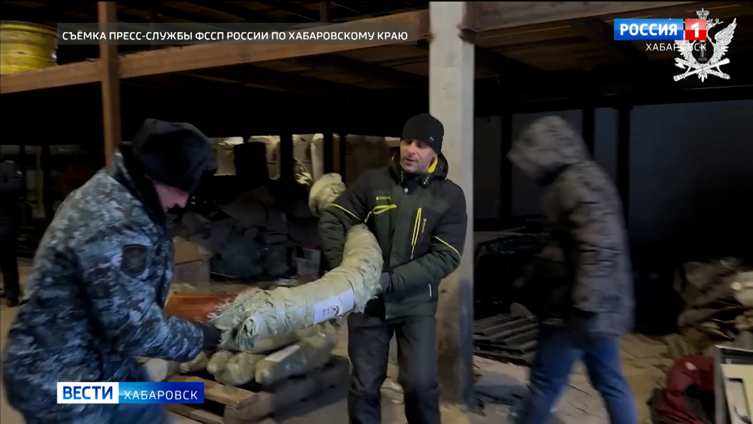 Жителю Хабаровского края вынесли приговор за контрабанду около ста килограммов бивней мамонта