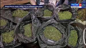 Оружие, боеприпасы и 35 килограммов марихуаны изъяли у жителя Князе-Волконского