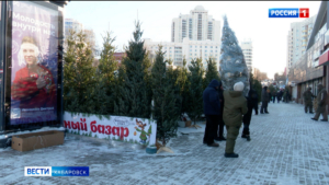 «Аромат возвращает в детство»: пик продаж новогодних ёлок в Хабаровске ожидают в конце этой недели