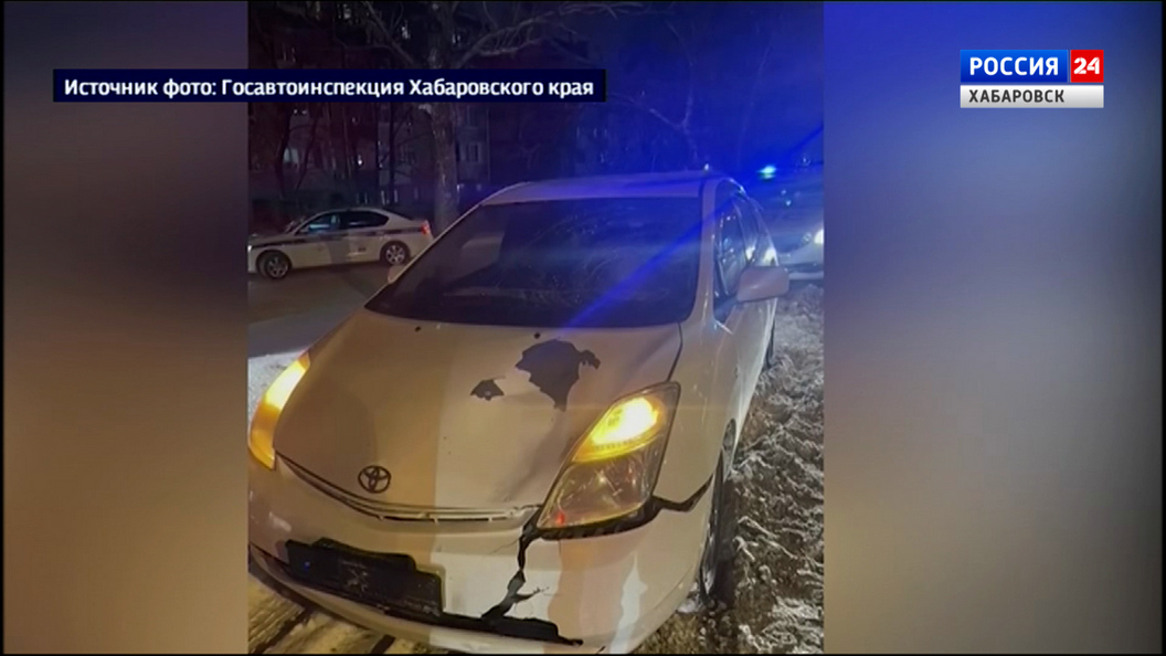 Видеосюжеты