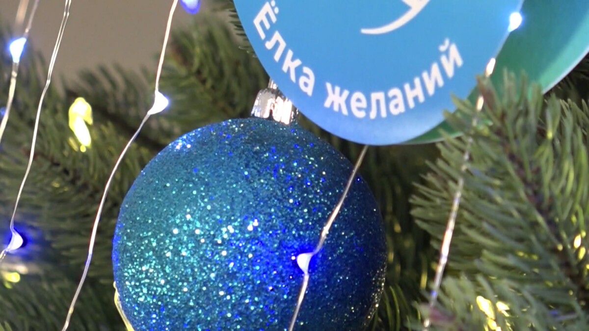 Хабаровский край вновь присоединяется к Всероссийской акции «Ёлка желаний»