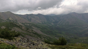 В Хабаровском крае будут добывать «звёздный» металл: Росгео начало поиск вольфрама