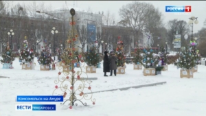 Лучшую вечнозелёную красавицу выбрали в Комсомольске на конкурсе «Ёлки-иголки»
