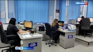 На 15 процентов в 2025 году снизилось в крае количество преступлений, связанных с мошенничеством