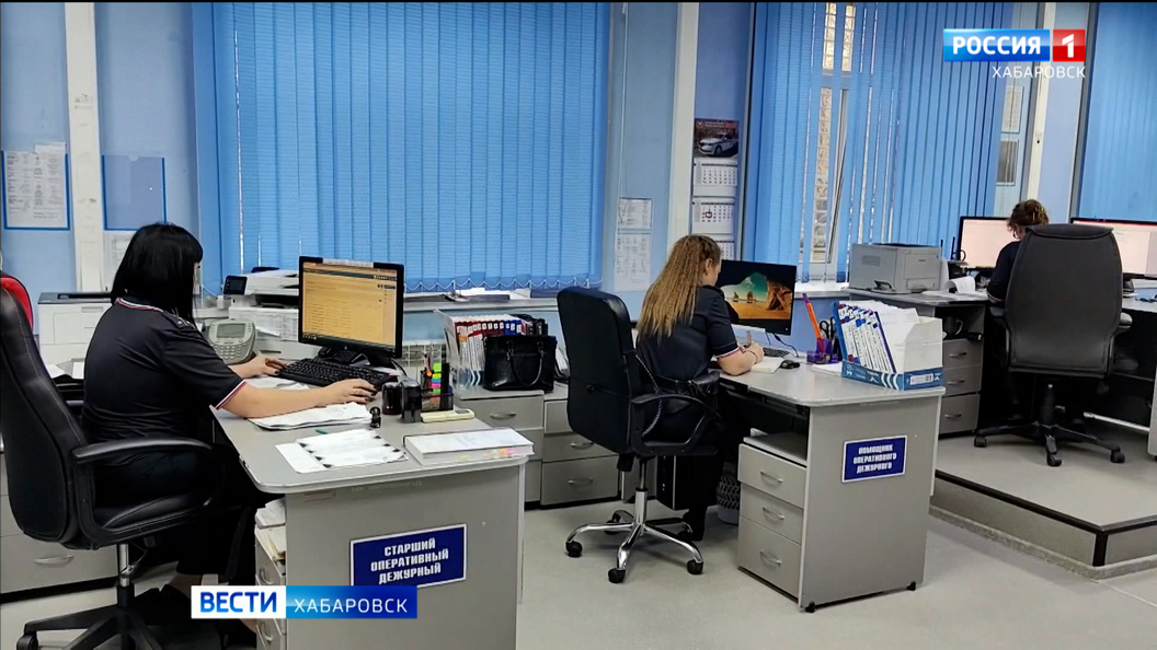 На 15 процентов в 2025 году снизилось в крае количество преступлений, связанных с мошенничеством