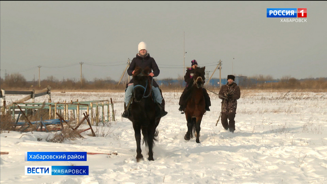 «Открытый урок» в седле: ездить верхом учат детей казаки Хабаровского края