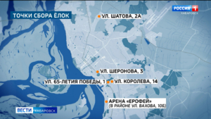 Вторая жизнь для вечнозелёных красавиц: акция «Ёлочный круговорот» стартовала в Хабаровске