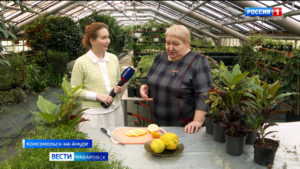 Чай с бергамотом при минус 28: в оранжерее Города юности впервые вырастили экзотический цитрус