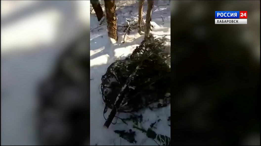 Ущерб по сравнению с 2025 годом удалось снизить: в Хабаровском крае подвели итог операции «Ёлочка»