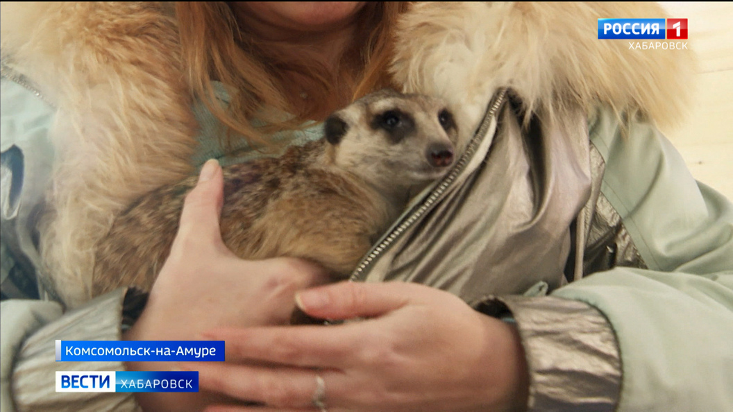 «Это моя маленькая сказка!»: многодетная мама из Комсомольска организовала семейную чудо-ферму