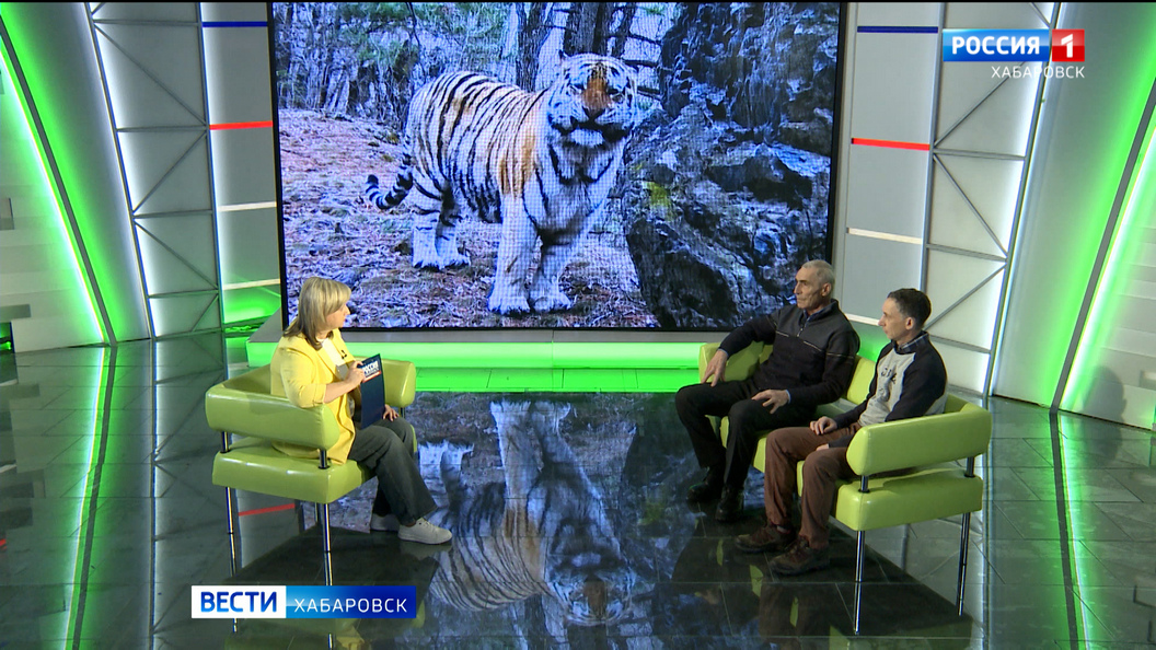 Большое утро. Избежать новых трагедий: меры по защите диких животных предлагают хабаровские учёные