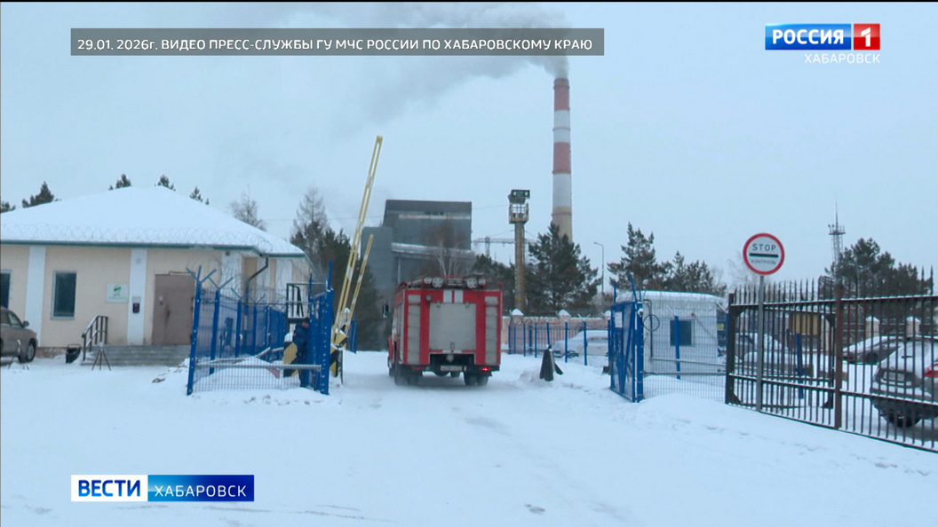 Видеосюжеты