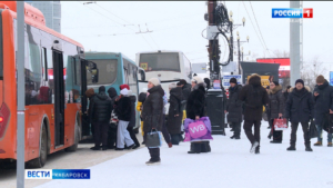 Недобросовестные перевозчики заплатят штрафы: в Краевой думе принят закон об ответственности