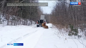 «Впечатлений – море!»: работать с тиграми учатся в Хабаровском крае специалисты из Казахстана