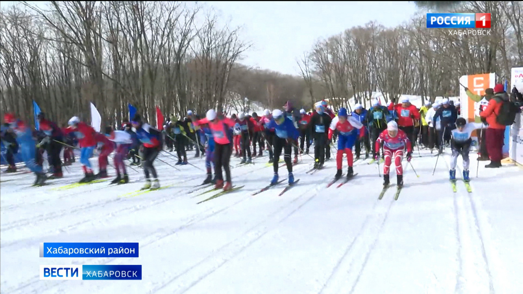 Видеосюжеты