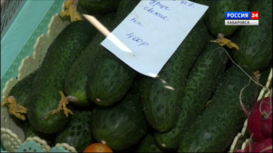 Смотрите в 21:10. Резкое подорожание огурцов зафиксировано в России с начала года