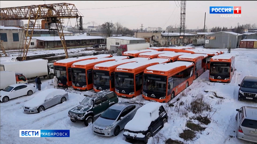 Видеосюжеты