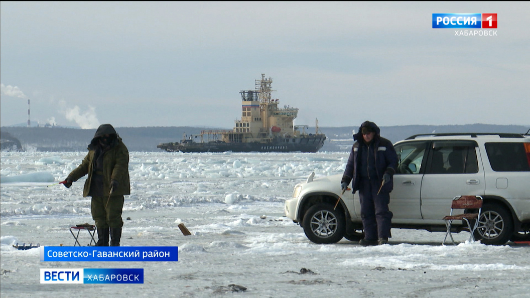 Видеосюжеты