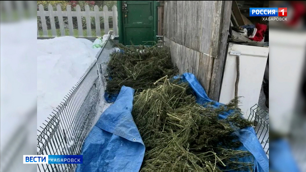 Видеосюжеты