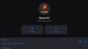 Подписывайтесь на «Воин DV» в мессенджере МАХ