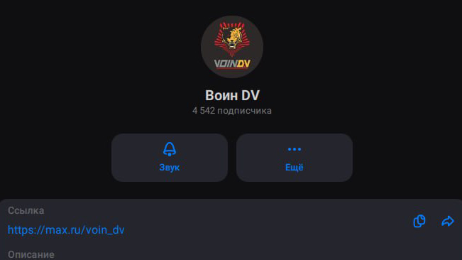 Подписывайтесь на «Воин DV» в мессенджере МАХ