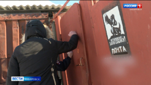 "Просто подошел, просто перекусил". Два агрессивных алабая нападают на домашних собак