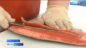 «Царская рыба!» Единственная в Сибири и на Дальнем Востоке форелевая ферма наращивает обороты