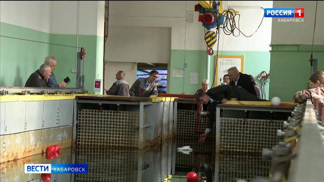 Видеосюжеты